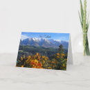 Search for new zealand tree cards Nature