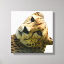 Search for leopard canvas prints Cheetah