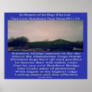 Recherche de pet memorial posters Mémorial