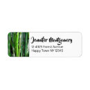 Search for bamboo return address labels Forest