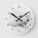 Search for curling clocks Curled