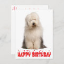 Search for old english sheepdogs cards Puppy