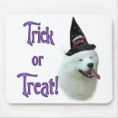Search for samoyed electronics Canine