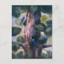 Search for bird perched on tree postcards Birds