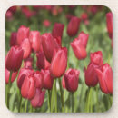 Recherche de hollande dessous de verres Voyage