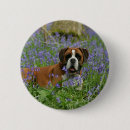 Recherche de jacinthes badges Chien