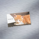 Recherche de médecins animaux Customer