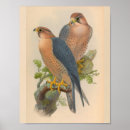 Recherche de vintage bird art Bleu