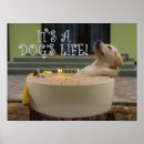 Recherche de bébé drôle posters Amoureux des chiens