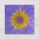 Recherche de macro cartes visite Fleur