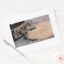 Search for dog lovers rectangle stickers German shepherd