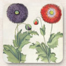 Recherche de 17ème dessous de verres Fleurs