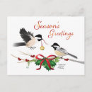 Search for chickadees postcards Red