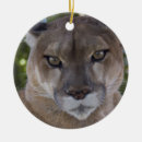 Search for mountain lion ornaments Predator