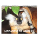 Recherche de madagascar Animaux