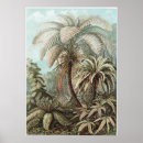 Search for fern art Kunstformen der natur