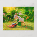 Search for destroying postcards Flowers