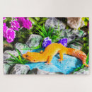 Search for gecko puzzles Cute