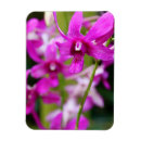 Recherche de orchidées magnets Violet