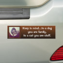 Search for tabby bumper stickers Pet