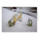 Recherche de crocus cartes postales Plantes