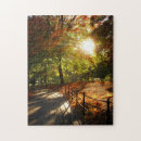 Search for new york central park puzzles Autumn