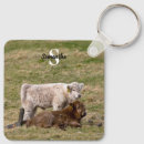 Search for hairy keychains Heilan coo