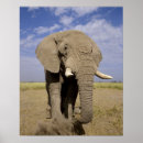 Search for confrontational posters Nature