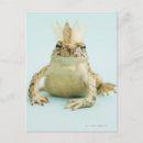 Search for toad stamps postcards Reptile