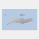 Search for beluga whale crafts party Ocean animals