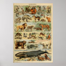 Recherche de mammifère art Antique