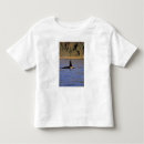 Search for killer whale tshirts Wildlife