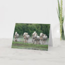 Recherche de jim vœux cartes Cheval