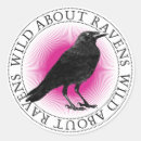 Search for corvus stickers Birds