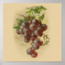 Search for grapevine art Vintage