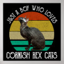 Search for cat posters Kitty