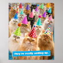 Recherche de chats drôles posters Anniversaire