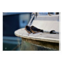 Recherche de vogel posters Nature