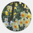 Search for postcard stickers Nature