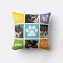 Recherche de pet coussins Moderne