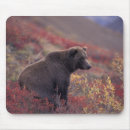 Recherche de alpin tapis souris Automne
