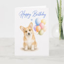 Recherche de corgi Pembroke welsh corgi