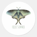 Search for green butterflies stickers Insects