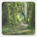 Search for washington state stickers Tree