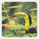 Search for central america stickers Honduras