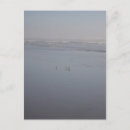 Search for fog vertical postcards Beach