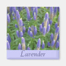 Recherche de parfum magnets Jardin