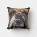 Search for english bulldog pillows Animals