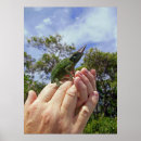 Recherche de jackson posters Reptile
