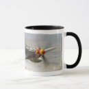 Search for p 51 mugs War
